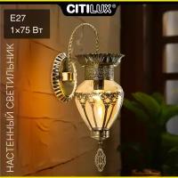 Citilux Каир CL419413 Бра настенное Бронза