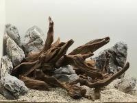 Декор аквариумный композиция коряга мангровая + камень серая гора лот 004