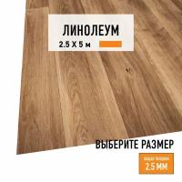 Линолеум для пола на отрез 2,5х5 м LEVMA HOME 01, бытовой, 21 класс, 4828332-2,5х5