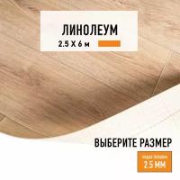 Линолеум для пола на отрез 2,5х6 м LEVMA HOME 02, бытовой, 21 класс, 4826212-2,5х6