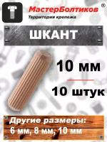 Шкант 10 мм (10 штук)