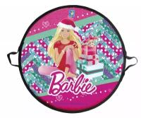 Ледянка 1TOY Barbie Т58482 52 см, круглая