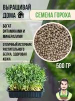 Семена микрозелени гороха мадрас и проращивание 1 шт 500 грамм