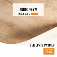 Линолеум для пола на отрез 2,5х6,5 м LEVMA HOME 02, бытовой, 21 класс, 4826212-2,5х6,5