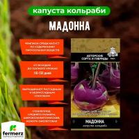 Семена Капуста кольраби Мадонна 0,5гр