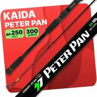 Спиннинг на сома Peter Pan Kaida тест 100- 250 гр длина 300 см