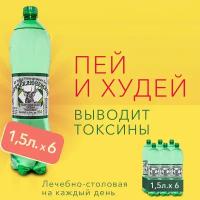 Вода Горячий Ключ скважина 934 питьевая минеральная газированная лечебная 1.5л*6, выводит токсины, для похудения, природная. От проблем ЖКТ