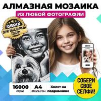 QBRIX Алмазная фотомозаика на подрамнике ORIGINAL A4