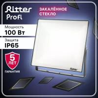 Прожектор светодиодный PROFI 100Вт, 180-240В, IP65, 6500К, 10000Лм, черный, Ritter, 53410 9