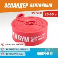 Резинка для фитнеса Harper Gym NT961Z (55)