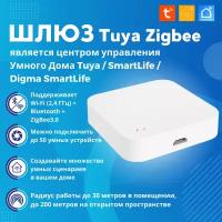 Шлюз для умного дома (Хаб) ZigBee 3.0 Bluetooth Wi-FI