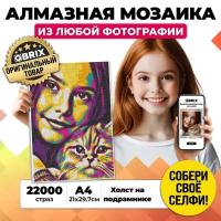 QBRIX Алмазная фотомозаика на подрамнике POP-ART A4