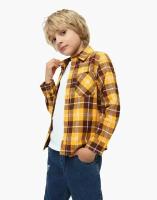 Школьная рубашка Gloria Jeans, размер 5-6л/116 (30), мультиколор, желтый