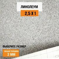 Линолеум для пола на отрез 2,5х1 м Juteks Master Proxi 2, полукоммерческий, 32 класс, 4832909-2,5х1