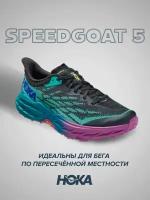 Кроссовки мужские Hoka Speedgoat 5