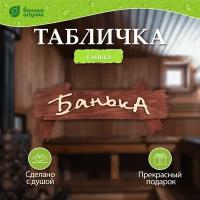 Табличка банная «Банька» 30*13см Банные штучки