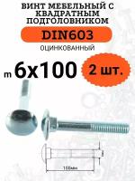 DIN603 6х100 винт мебельный с квадратным подголовником, 2 шт