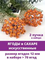 Ягоды в сахаре для декорирования 1,2 см (примерно 80 шт), на проволоке, оранжевые, в наборе 2 пучка