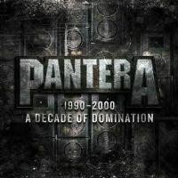 Виниловая пластинка Warner Music PANTERA - 1990-2000 - A Decade Of Domination (Limited Edition) (Coloured Vinyl) (2LP)