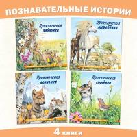 Сказки для детей Издательство Фламинго Познаем мир вокруг нас Комплект из 4 книг Приключения волчонка, зайчонка, котенка, жеребенка