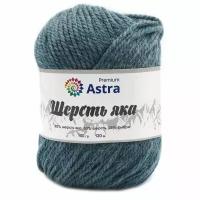 Пряжа для вязания Astra Premium 'Шерсть яка' (Yak wool) 100гр 120м (+/-5%) (25% шерсть яка, 50% шерсть, 25% фибра) (15 светлый джинс), 2 мотка