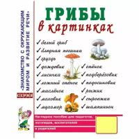 Грибы в картинках. Наглядное пособие для воспитателей, логопедов, педагогов, родителей (Гном)