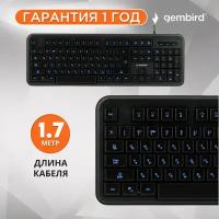 Клавиатура Gembird KB-200L Black USB черный, английская/русская (ISO), 1 шт