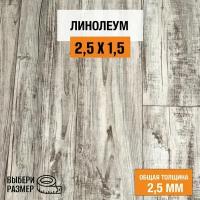 Линолеум для пола на отрез 2,5х1,5 м. Комитекс, коллекция Парма, Беркли 871, бытовой, 21 класс