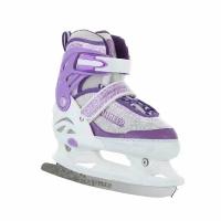 Коньки раздвижные WINTER (АК) violet (L, 39-42)