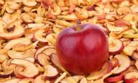Яблоки сушеные 1000гр /урожай 2023 г