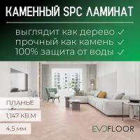 SPC ламинат Evofloor Parquet - Planier (Планье)