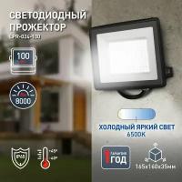 Прожектор светодиодный уличный ЭРА RED LINE LPR-024-100 подвесной 100Вт 6500К IP65