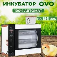 Инкубатор для яиц автоматический OVO-156