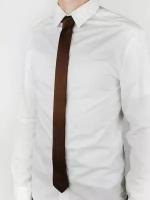 Глянцевый однотонный мужской галстук