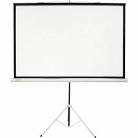 Экран Cactus 150x150см Triscreen CS-PST-150x150 1:1 напольный рулонный