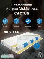 Матрас Mr. Mattress CACTUS 80x200