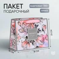 Пакет подарочный ламинированный горизонтальный «Present for you», 23 × 18 × 10 см