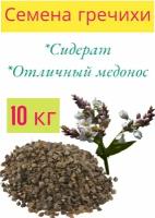 Гречиха семена, сидерат, медонос 10 кг