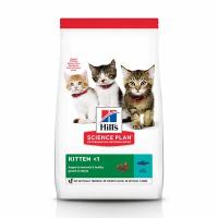 Hills Science Plan Сухой корм для котят с тунцом (Kitten Tuna) 604713 0,3 кг 38593 (4 шт)