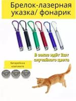 Лазерная указкa для игры с кошками и собаками 2шт