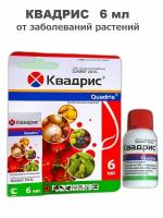 Квадрис 6 мл от заболеваний лука, томатов, огурцов открытого и защищенного грунта, винограда, картофеля