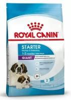 Royal Canin Giant Starter для щенков до 2 месяцев, беременных и кормящих сук гигантских пород Курица, 4 кг