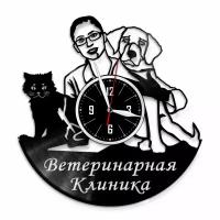 Ветеринарная клиника - настенные часы из виниловой пластинки
