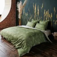 Двуспальный комплект постельного белья Волшебная Ночь Grass с наволочками 70х70