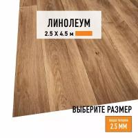 Линолеум для пола на отрез 2,5х4,5 м LEVMA HOME 01, бытовой, 21 класс, 4828332-2,5х4,5