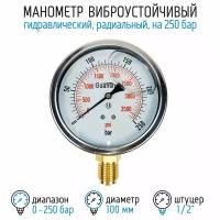 Манометр виброустойчивый YN100Z на 250 бар, 100 мм, G 1/2