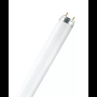 Лампа люминесцентная Osram 18Вт/640 G13 T8 4000K свечение белое (1 шт.) 4008321959652