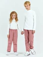Детские теплые штаны с начесом KETMIN, размер 110, Чайная роза