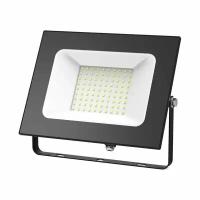 Прожектор GAUSS LED 100W IP65 6500К черный