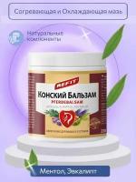 Конский бальзам для спины, суставов и мышц с экстрактом конского каштана Refit Pferdebalsam, 230 мл